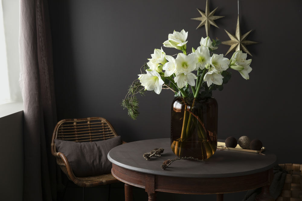 Hvite amaryllis Hvite amaryllis